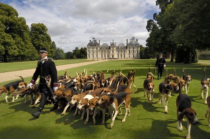 France, Loir-et-Cher (41), château de Cheverny, les piqueux Vol au Vent et La Rosée qui gèrent la meute de 90 chiens de chasse à cour