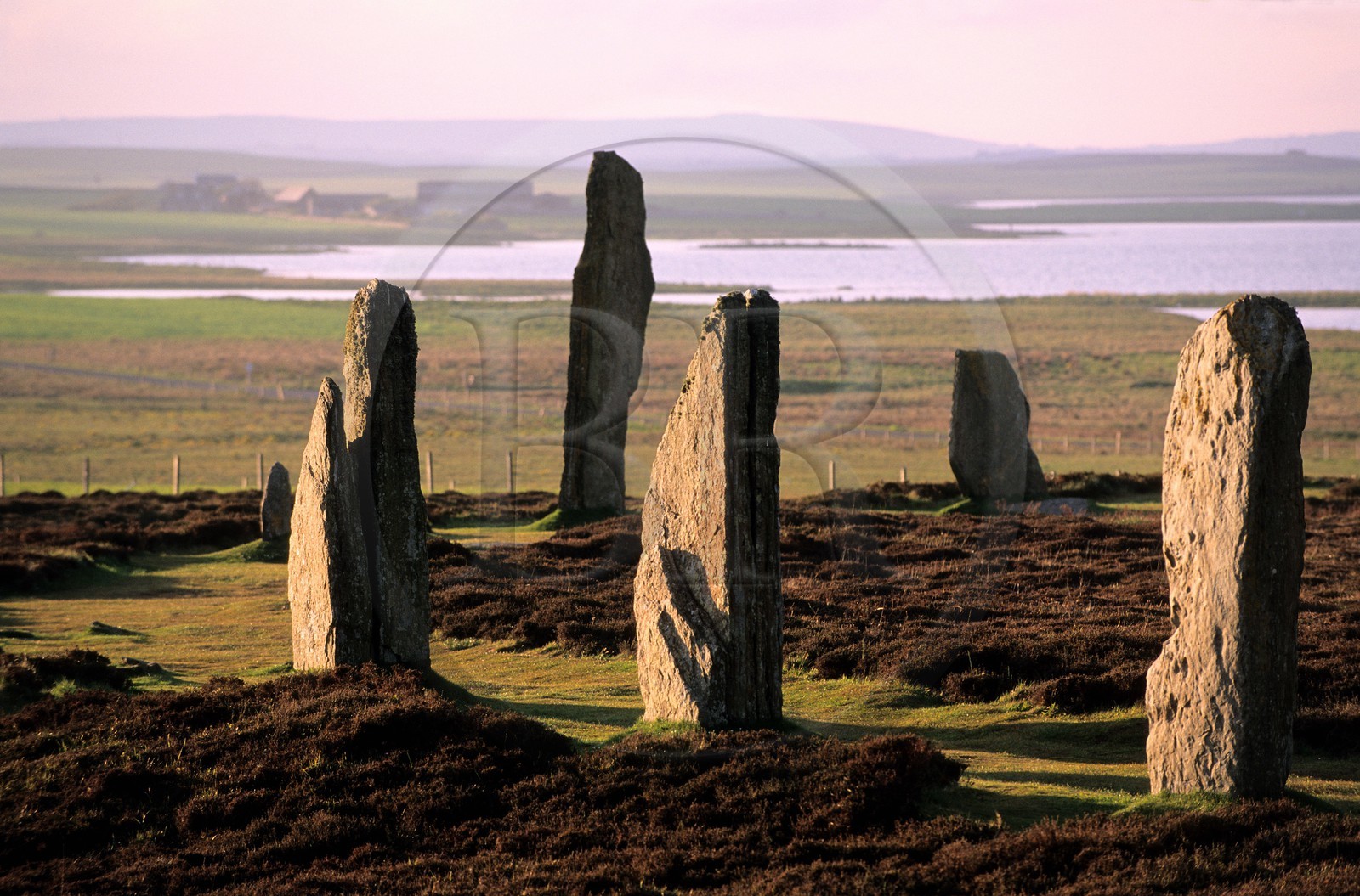 Royaume-Uni, Ecosse, îles Orcades, Mainland, au bord du Loch of Stenness, pierres levées du Ring of Brogar, classées Patrimoine Mondial de l' UNESCO