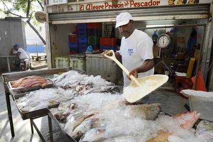 Panama, Panama City, Santa Ana neighborhood, Fish Market (Mercado de Mariscos)
