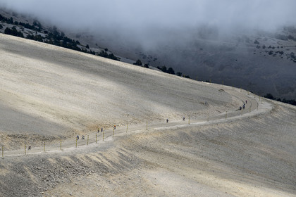 France, Vaucluse (84), Parc Naturel Régional du Mont Ventoux, Bedoin, ascension à vélo du Mont Ventoux par la route D974 sur le versant sud vers le sommet