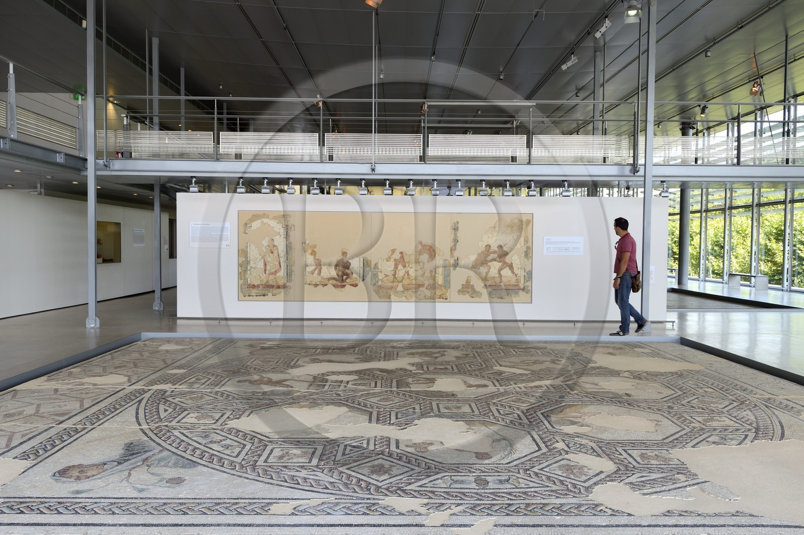 France, Rhône (69), Saint-Romain-en-Gal, musée gallo-romain de Saint-Romain-en-Gal, fresque murale des jeux de la Palestre provenant de la pièce des latrines des thermes des Lutteurs et mosaïque des Athlètes vainqueurs au sol