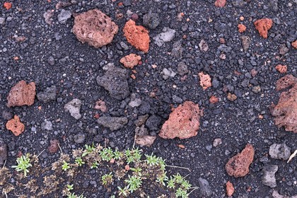 Italie, Sicile, Parc naturel régional de l’Etna, le Mont Etna, classé Patrimoine Mondial de l'UNESCO, roche volcanique