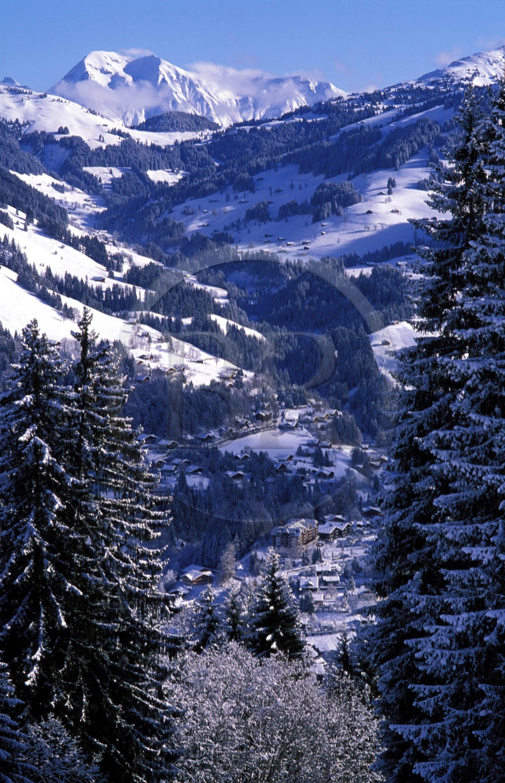 Suisse, région de Bern (Oberland Bernois), Saanenland, montagne dominant la station de Gstaad