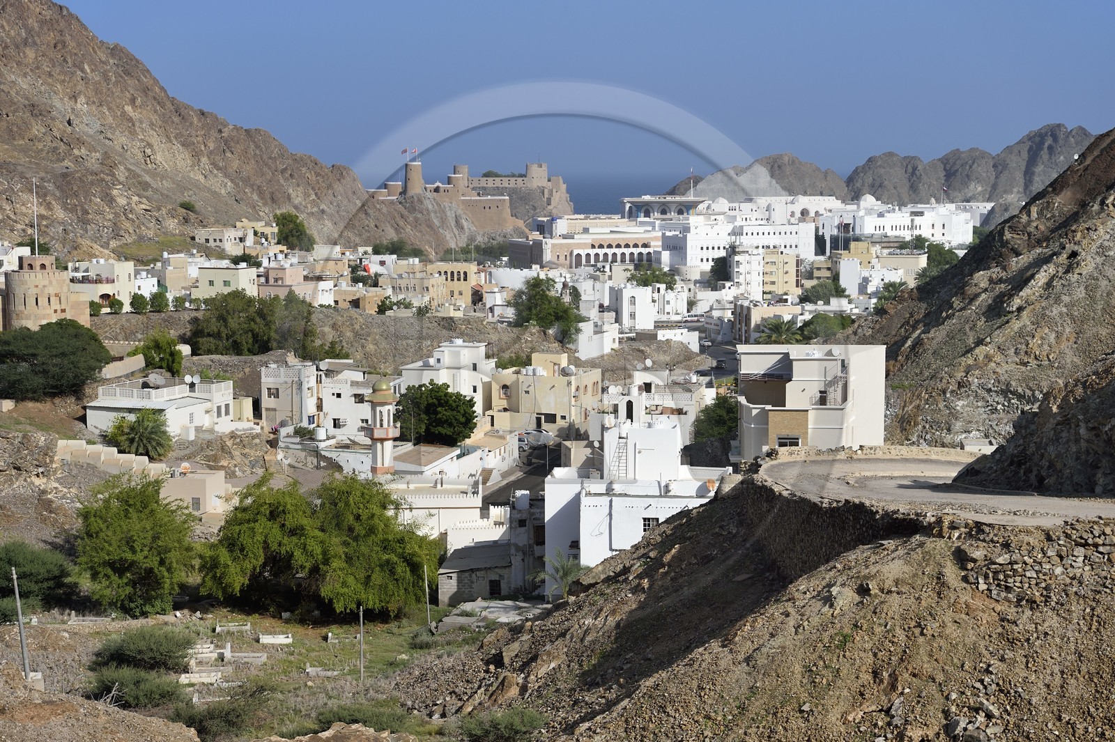 Sultanat d'Oman, Mascate, vieille ville de Mascate, le palais royal de Mascate et le Fort Al-Mirani en arrière plan, le vieux cimetière portugais au premier plan