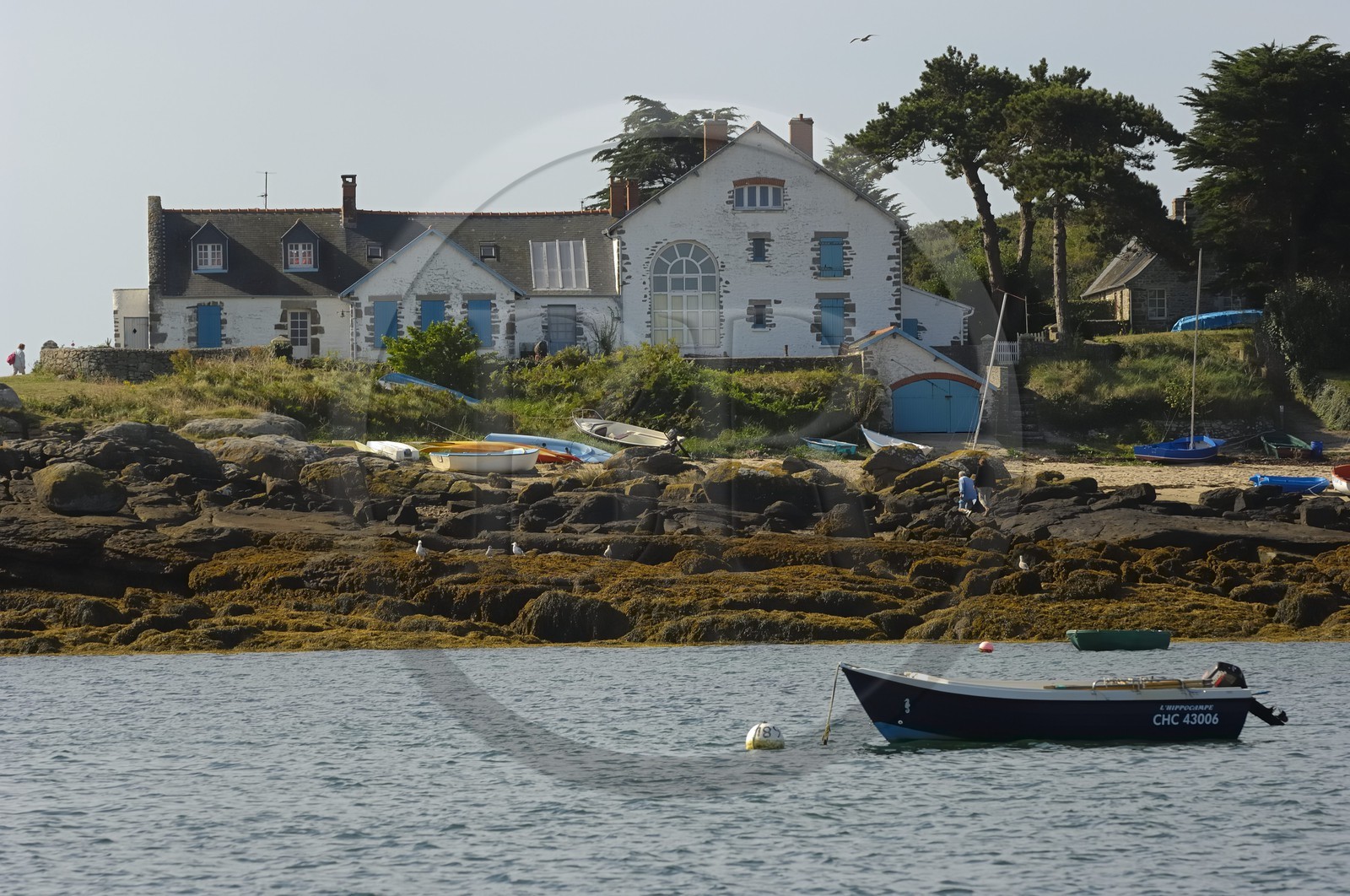 France, Manche, Iles Chausey, Grande Ile, house of painter Marin Marie, an Official Painter of the French Navy