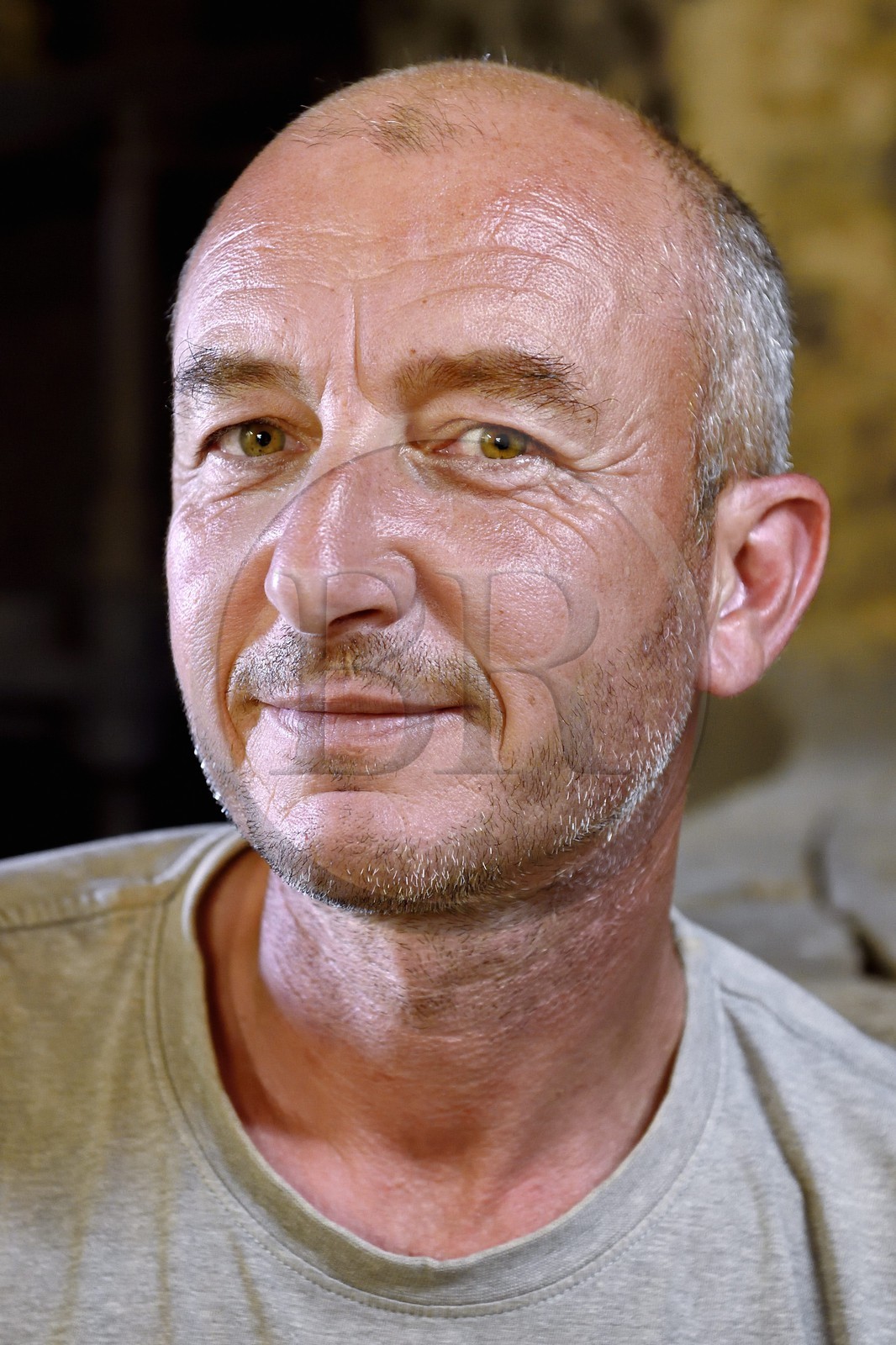 France, Var, Flayosc, the Flayosquet mill, the producer of olive oil Max Doleatto