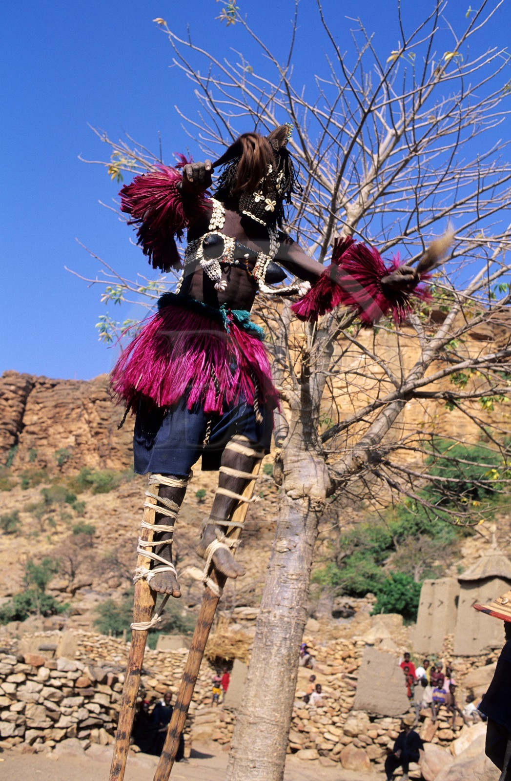 Mali, pays Dogon, falaise de Bandiagara classée Patrimoine Mondial de l'UNESCO, danses du Dama (lever de deuil) au village de Tereli (masque sur des échasses appelé tourterelle)