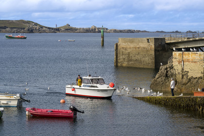France, Finistère (29), Mer d'Iroise, Ile d'Ouessant, le port de Lampaul dans la baie de Lampaul,  la presqu'ile de Feunteun Velen en arrière plan