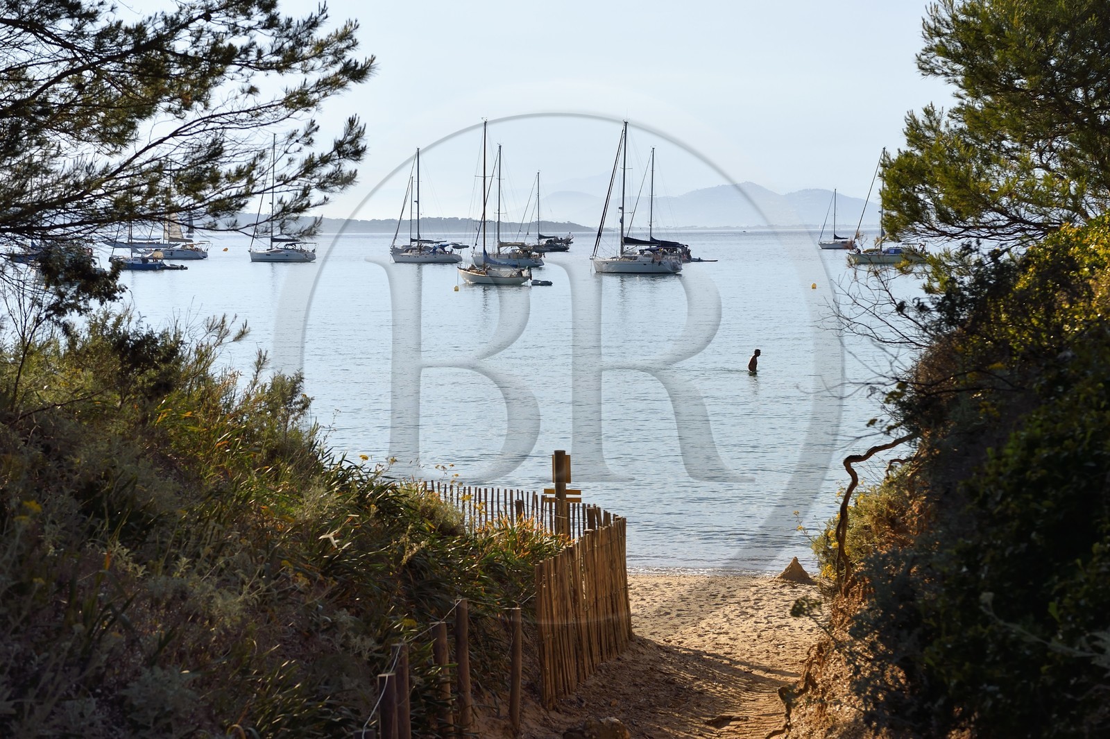 France, Var (83), Iles d'Hyères, parc national de Port Cros, Ile de Porquerolles, plage de la Courtade