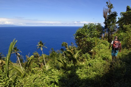 Caraïbes, Ile de la Dominique, randonneur sur le segment 13 du Waitukubuli National Trail dans le nord de l'île entre Pennville et Capuchin