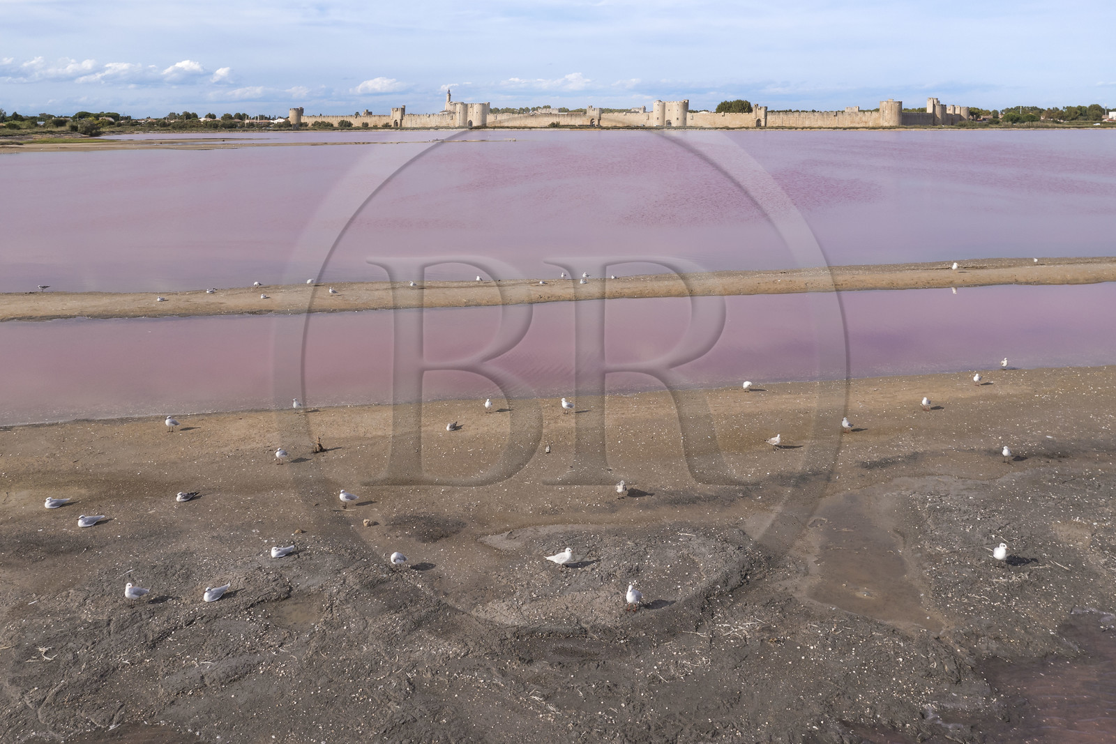 France, Gard (30), Aigues-Mortes, la ville médiévale entourée par ses remparts en bordure des marais salants (Salins du Midi) (vue aérienne)