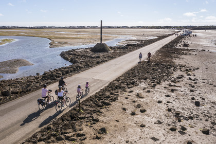 France, Vendée (85), île de Noirmoutier, Barbatre, cyclistes sur le passage du Gois, chaussée submersible qui relie l'île au continent à marrée basse (vue aérienne)
