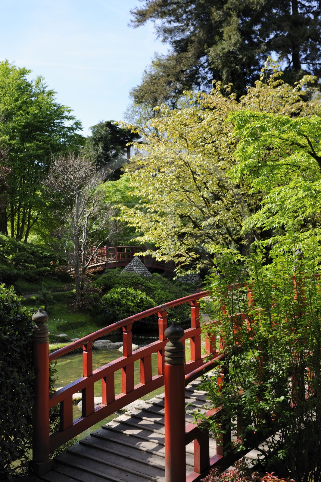 France, Hauts de Seine, Boulogne Billancourt, Japanese garden in Albert Kahn departmental museum