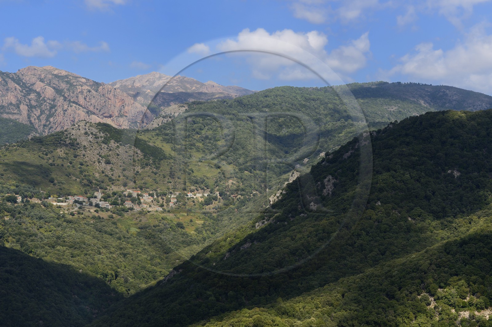 France, Corse-du-Sud (2A), région de Sartène, vallée de la rivière Rizzanèse, village de Cargiaca