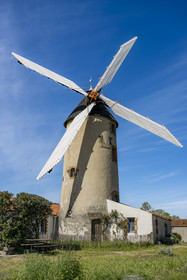 France, Vendée (85), Sallertaine, le moulin à Vent de Rairé