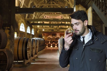 France, Calvados (14), Pays d'Auge, Le Breuil-en-Auge, Chateau du Breuil producteur de Calvados AOC Pays d’Auge, tonneaux dans les chais de vieillissement
