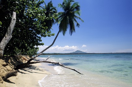 République Dominicaine, péninsule de Samana, plage sauvage et déserte El Limon près de Miches