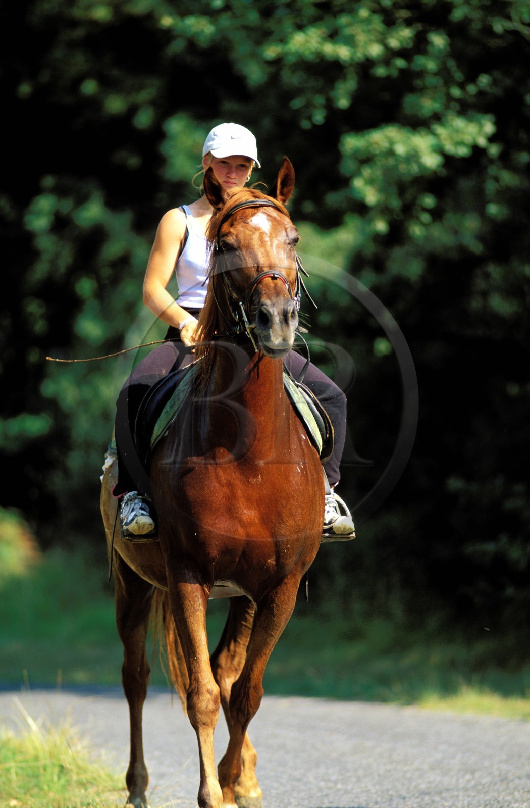 France, Gers (32), route de Mazères, une cavalière