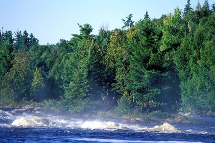 Canada, province de Québec, Réserve faunique de la Vérendrye, rivière des Outaouais, les rapides