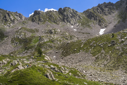 France, Alpes-Maritimes, Parc National du Mercantour (Mercantour national park), Haute Vesubie, Saint Martin Vesubie, Val du Haut Boréon, hikers on the path going to the Pas des Ladres pass (in the background at the top left)