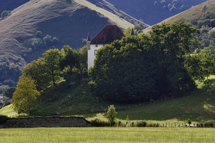 France, Pyrénées-Atlantiques (64), Pays-Basque, Saint-Etienne-de-Baïgorry, le chateau d'Etxauz
