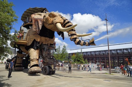 France, Loire-Atlantique, Nantes, Les Machines de l'Ile, an artistic project created by François Delaroziere and Pierre Orefice, the Big Elephant and the hangars of the former shipyards in the background