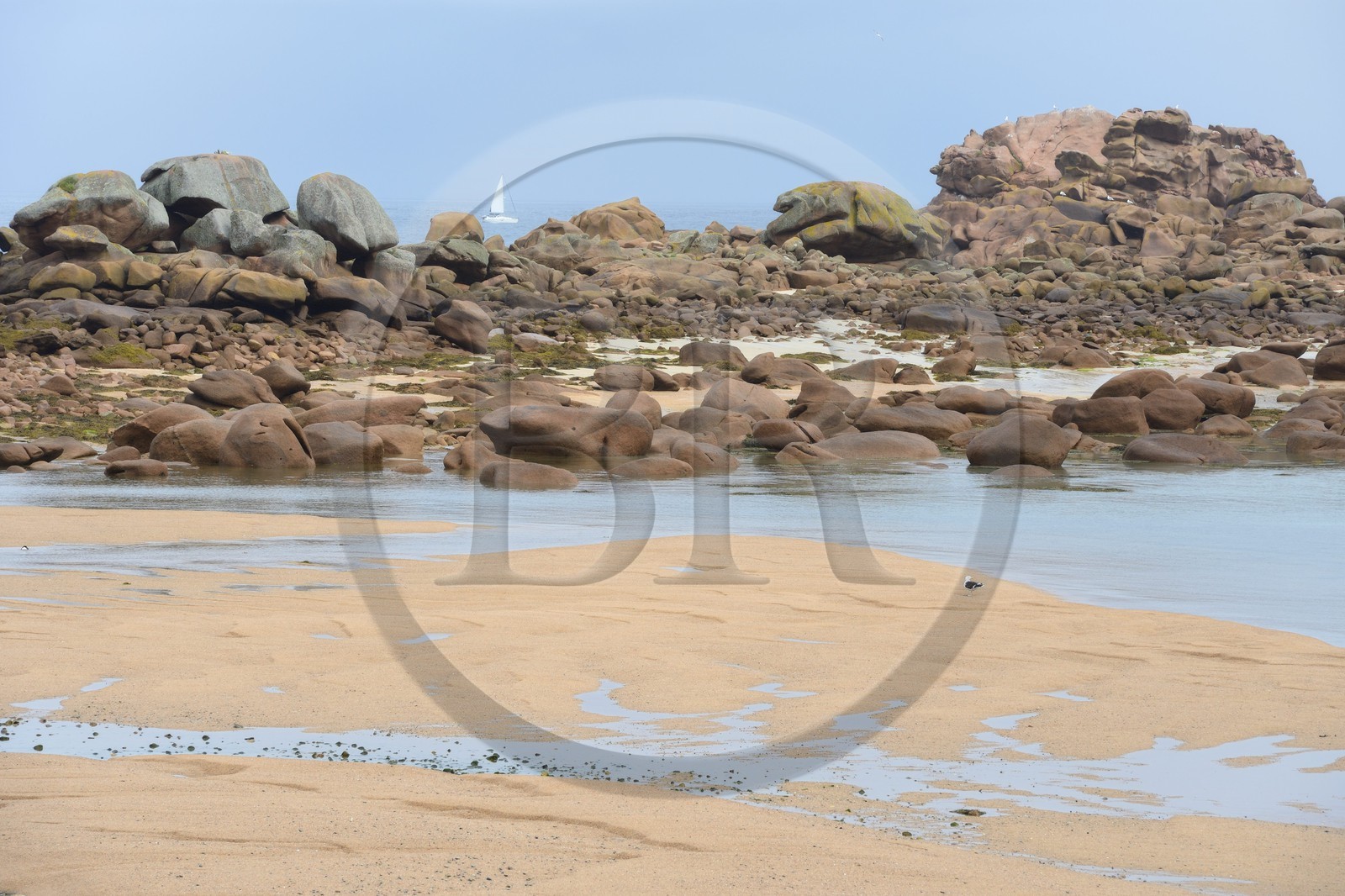 France, Cotes-d'Armor, Cote de Granit Rose (the Pink Granite coast), Tregastel, Renote island