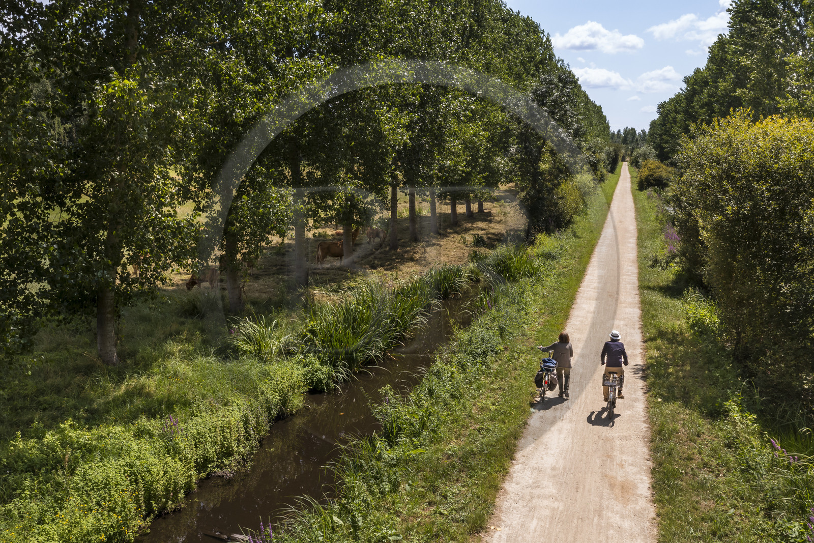 France, Deux-Sèvres (79), le Marais Poitevin, la Venise Verte, Sansais, randonnée à bicyclette le long de la Sèvre Niortaise sur la voie cyclable de la Vélo Francette (vue aérienne)