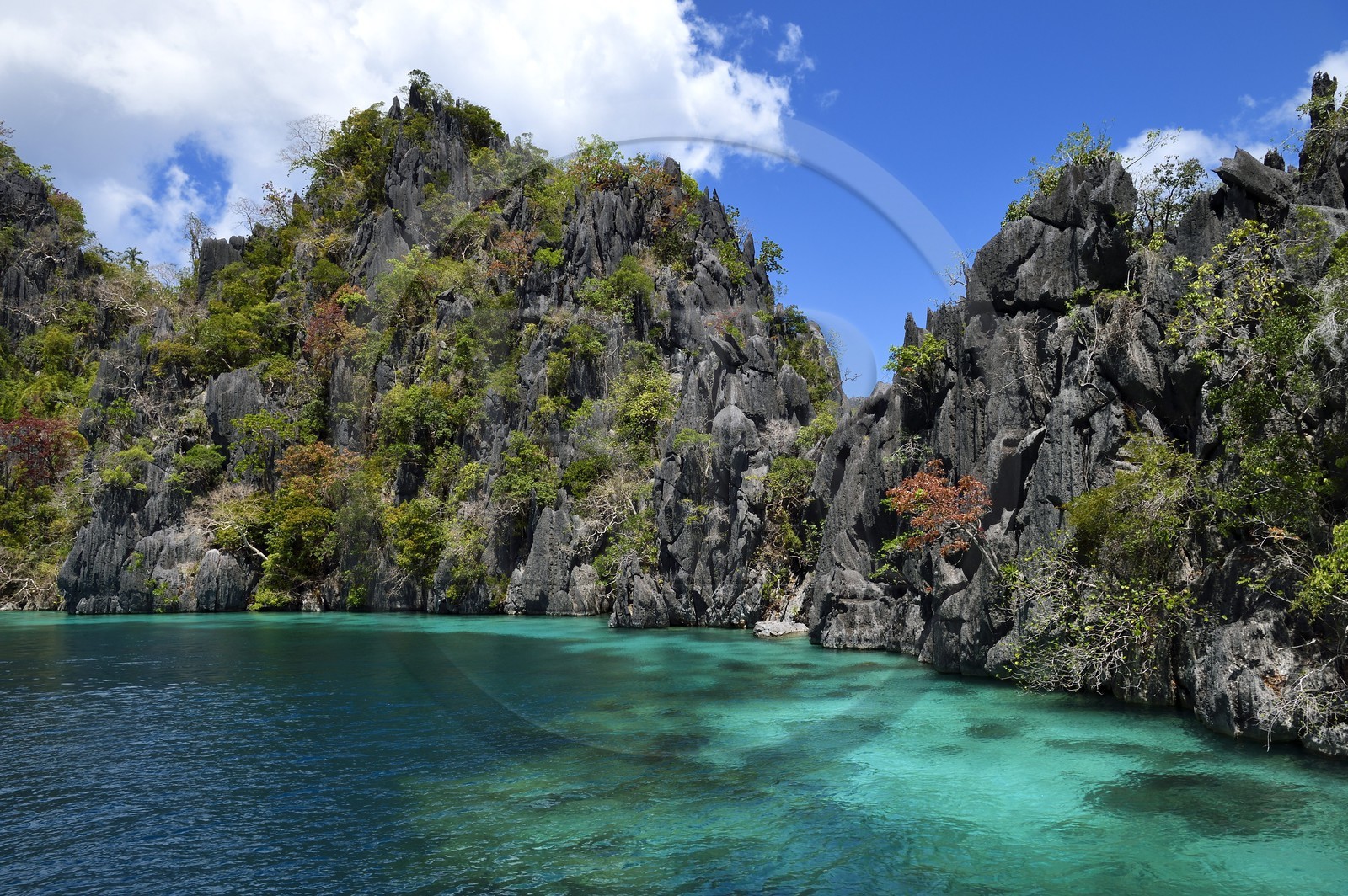 Philippines, Calamian Islands dans le nord de Palawan, Coron Island Natural Biotic Area, lagon et falaises de calcaire du Permien d'origine jurassique
