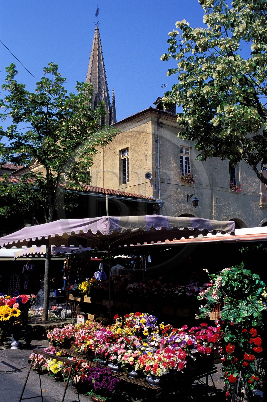 France, Hautes Pyrenees, flower stall at the market