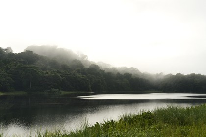 Panama, l'isthme de Panama entre Panama City et Colon le long de la ligne de train de la Panama Canal Railway
