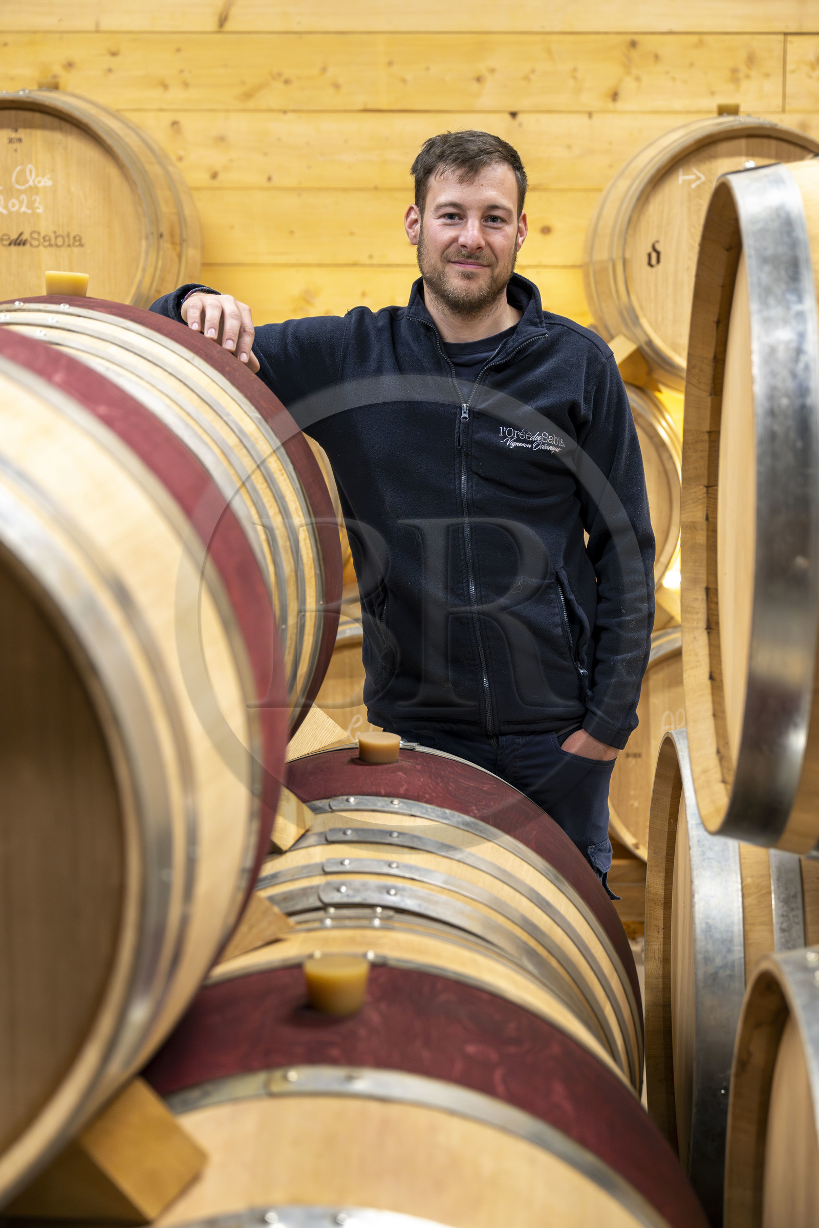 France, Vendée (85), Brem-sur-mer, le viticulteur Bastien Mousset créateur du Domaine viticole en agriculture biologique et biodynamique l'Orée du Sabia
