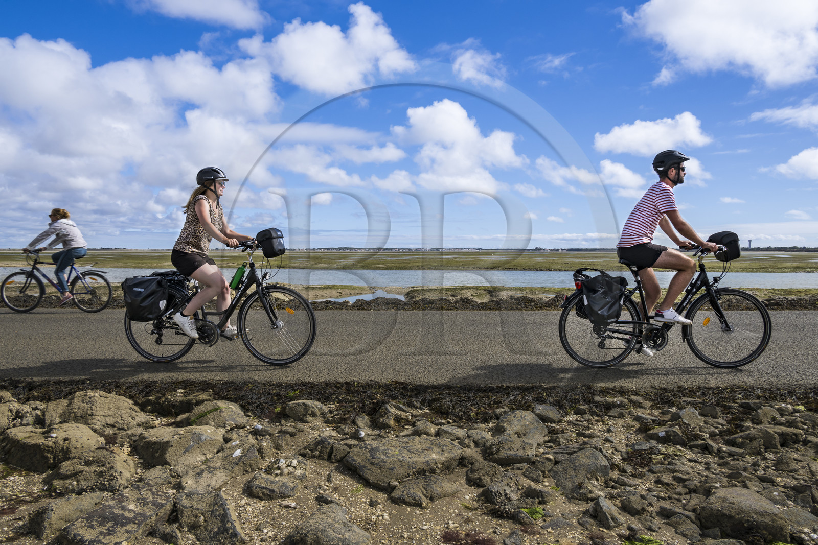 France, Vendée (85), île de Noirmoutier, Barbatre, cyclistes sur le passage du Gois, chaussée submersible qui relie l'île au continent à marrée basse
