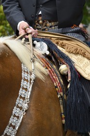 Argentine, province de Buenos Aires, San Antonio de Areco, fête du Jour de la Tradition (Dia de la Tradicion), détail de la sellerie et les bolas (ou boleadoras) accrochés à la selle