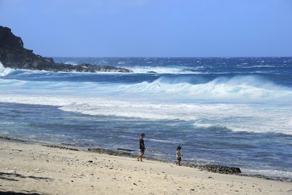 France, île de la Réunion, la côte sud, plage de Grand-Anse