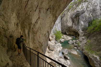 France, Alpes-de-Haute-Provence (04), Parc Naturel Régional du Verdon, Rougon, Grand Canyon du Verdon, la rivière du Verdon dans le couloir Samson, vu depuis le sentier Blanc-Martel sur le GR4