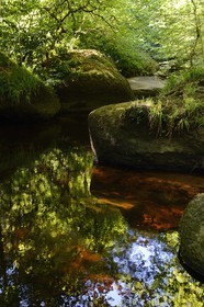France, Finistere, Parc Naturel Regional d'Armorique (Armorique Natural Regional Park), Huelgoat, granitic chaos of the Huelgoat forest, the forest reflected in the water of the Argent River, which sometimes may become blood red