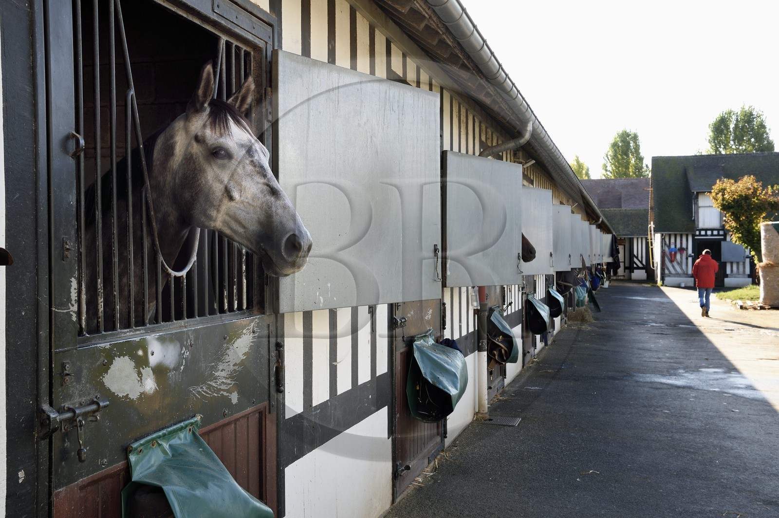 France, Calvados (14), Pays d'Auge, Deauville, Hippodrome de Deauville-La Touques, les écuries
