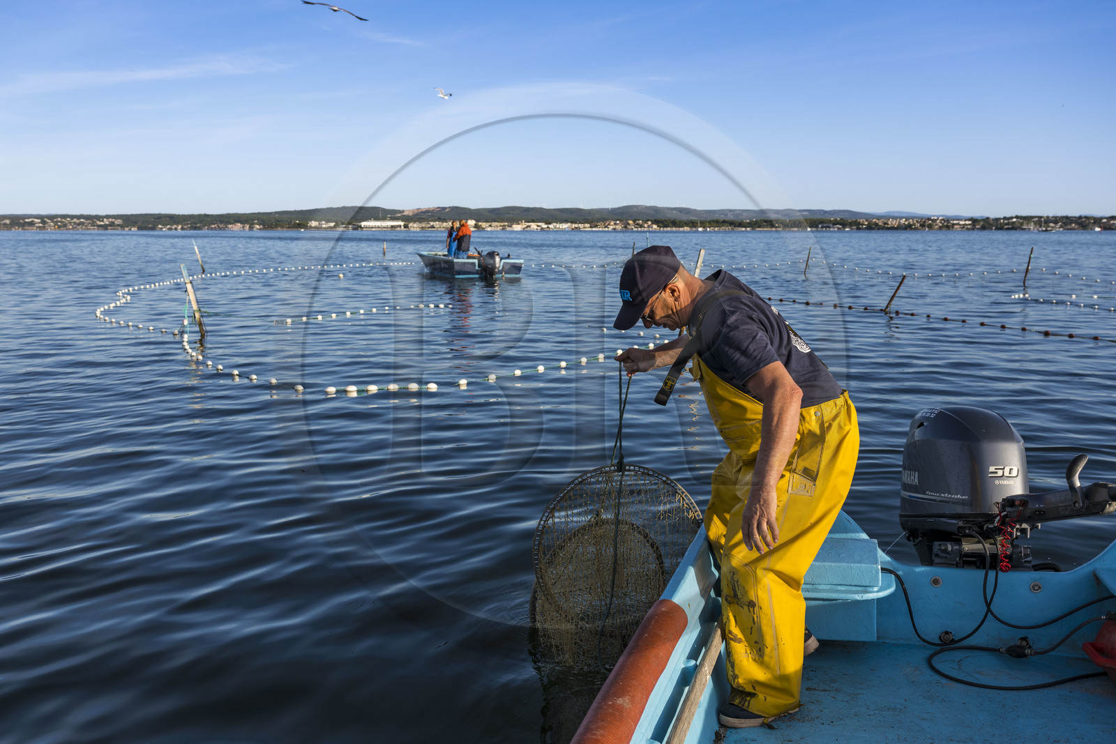 France, Hérault (34), Sète, quartier de la Pointe Courte, le pêcheur Robert Rumeau relève ses filets sur l'étang de Thau