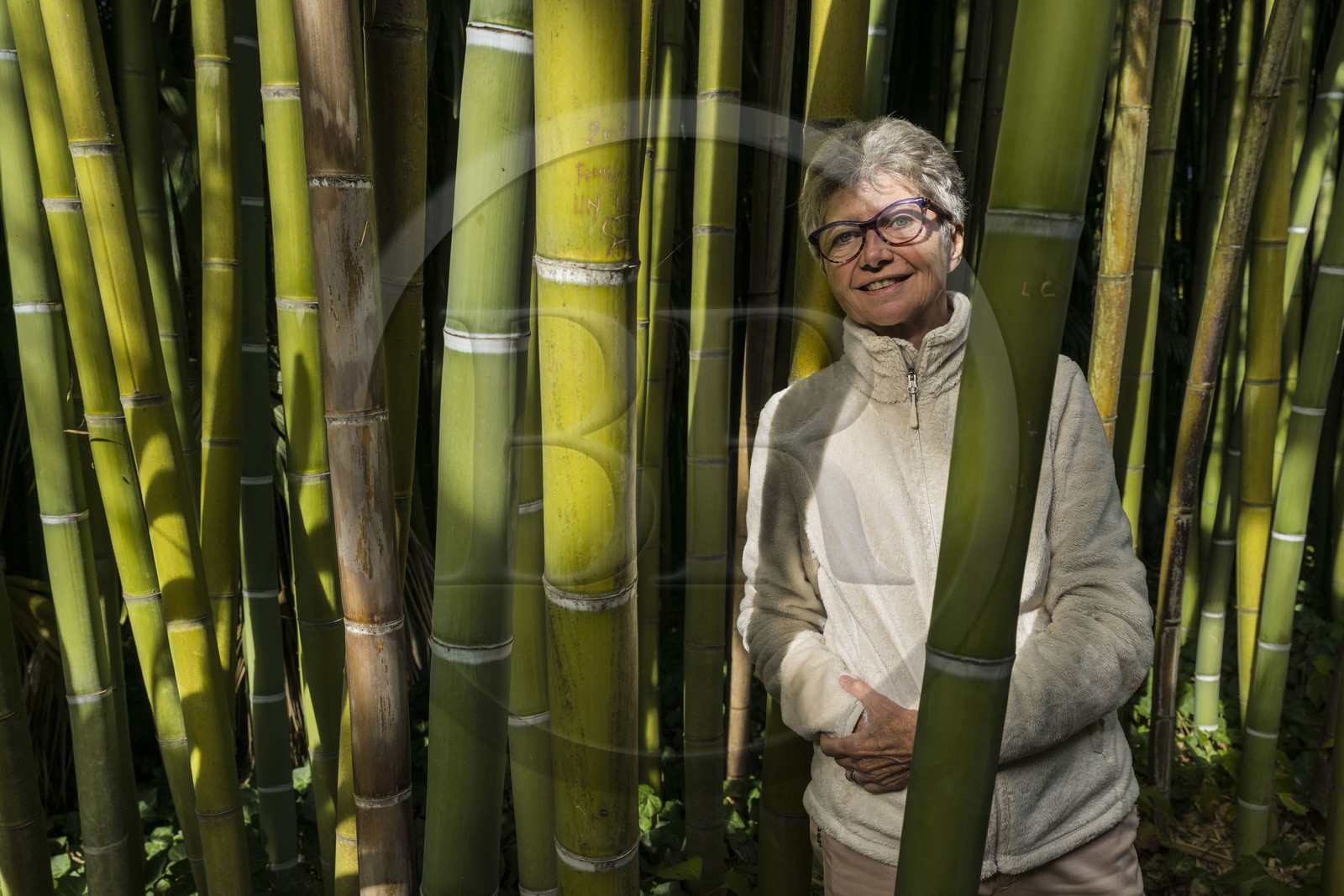 France, Gard (30), Générargues vers Anduze, Bambouseraie en Cévennes, la présidente et directrice Muriel Nègre