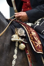Argentine, province de Buenos Aires, San Antonio de Areco, fête du Jour de la Tradition (Dia de la Tradicion), détail de la sellerie et les bolas (ou boleadoras) accrochés à la selle