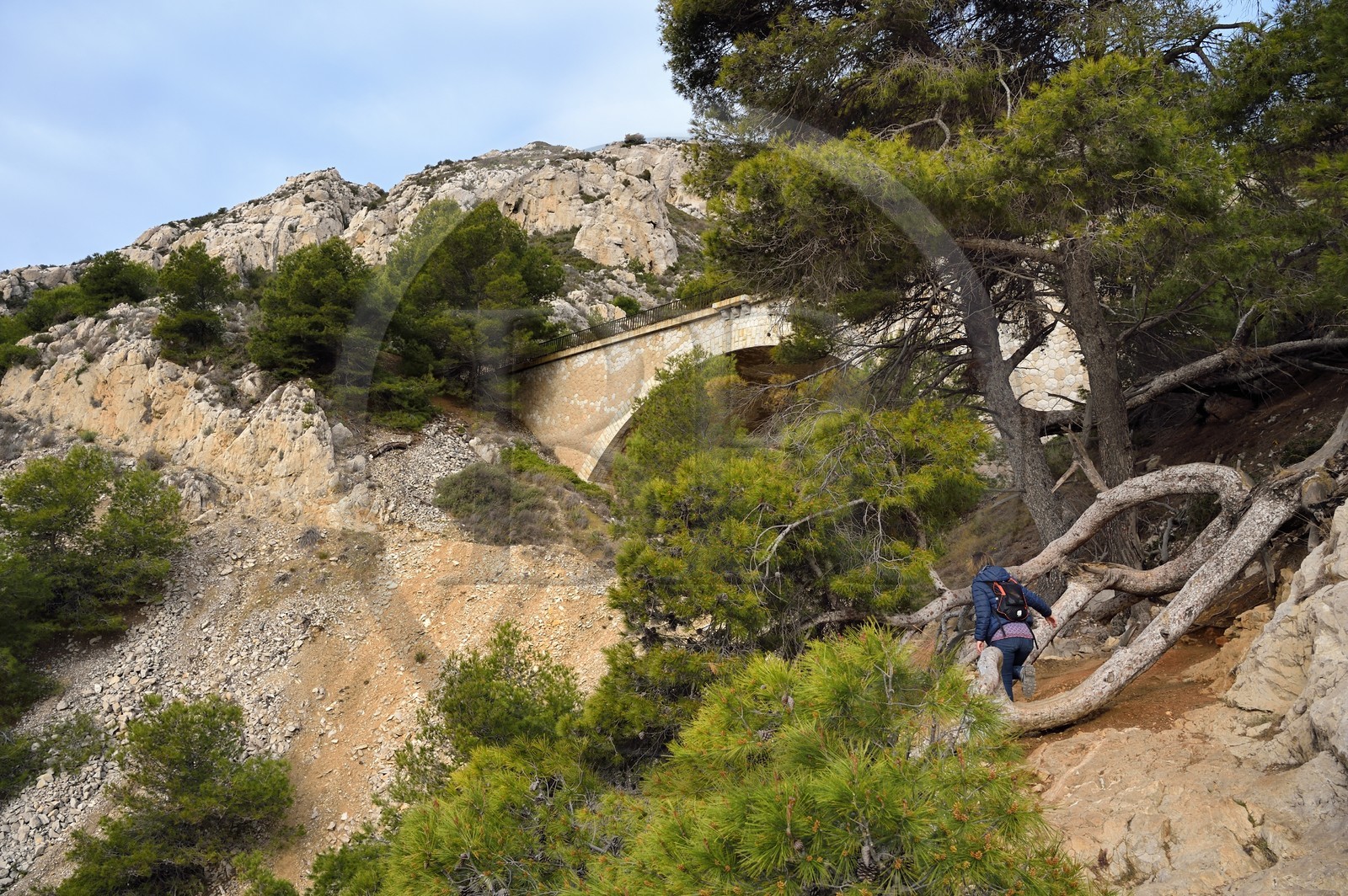 France, Bouches-du-Rhône (13), Le Rove vers Marseille, la Cote Bleue, randonnée de Niolon au Cap Méjean le long du Sentier des Douaniers