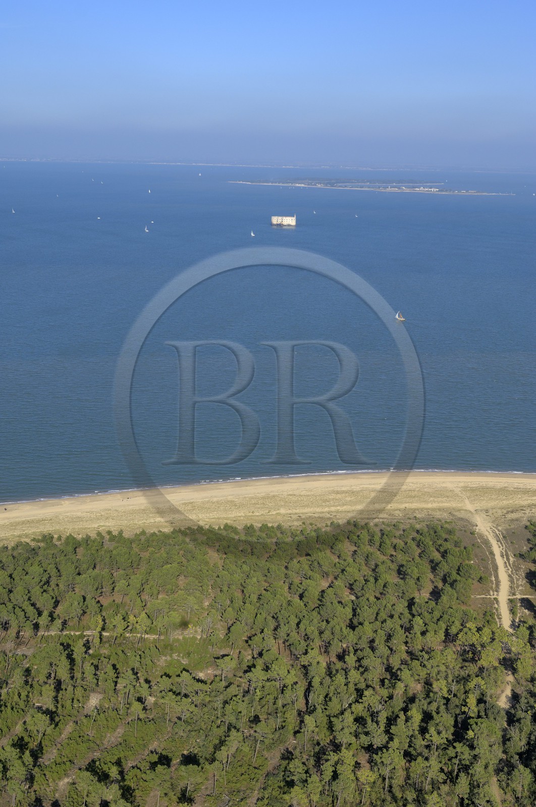France, Charente-Maritime (17), Ile d'Oléron, forêt des Saumonards (vue aérienne)