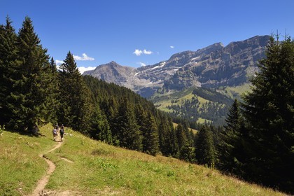 Suisse, canton de Vaud, Villars-sur-Ollon, randonnée du col de Bretaye au col de la Croix en passant par le hameau d'Ensex