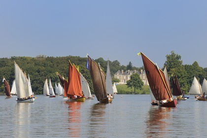 France, Loire-Atlantique (44), Nantes, Sucé-sur-Erdre, la rivière Erdre au niveau du château de Nay, rencontres de Yachting & Canotage de vieux gréments lors des RDV de l'Erdre