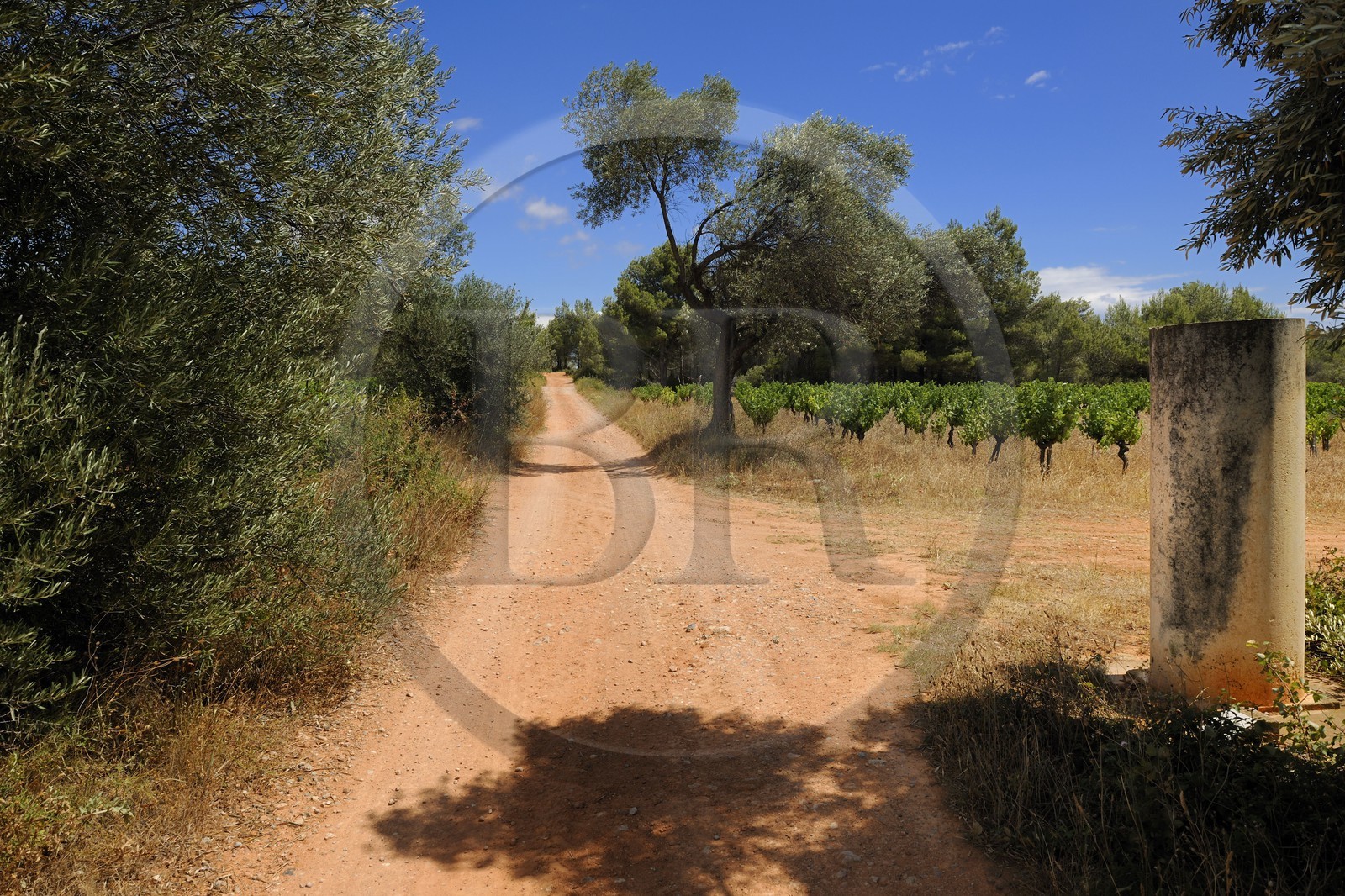 France, Herault, region of Pinet, the Via Domitia and roman Milestone, section bassin of Thau, outside of cities it is a dirt track on laminated layers of gravel and crushed stone