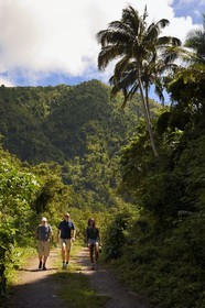 Caribbean, Dominica Island,