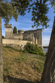France, Bouches-du-Rhône (13), Tarascon, le chateau du roi René datant du XVe siècle en bordure du Rhone