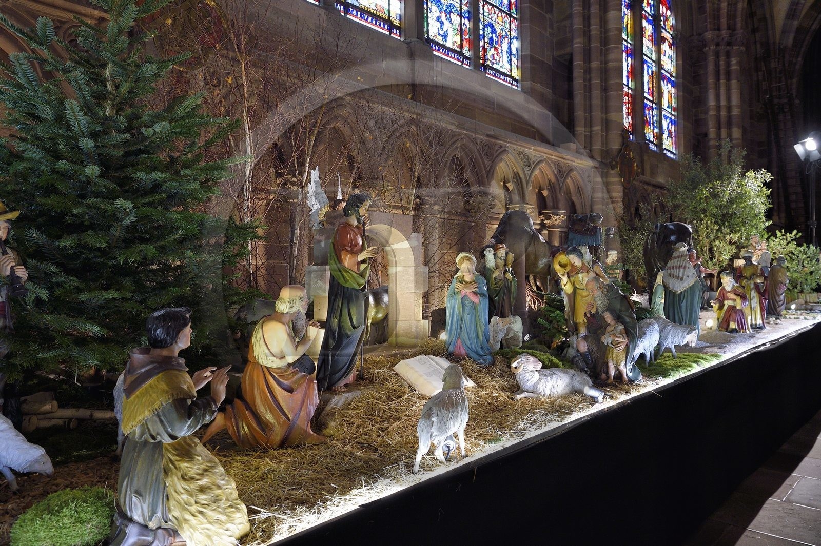 France, Bas-Rhin (67), Strasbourg, vieille ville classée au Patrimoine Mondial de l'UNESCO, la cathédrale Notre-Dame, la crèche de la nativité installée dans la Nef à l'occasion de Noël