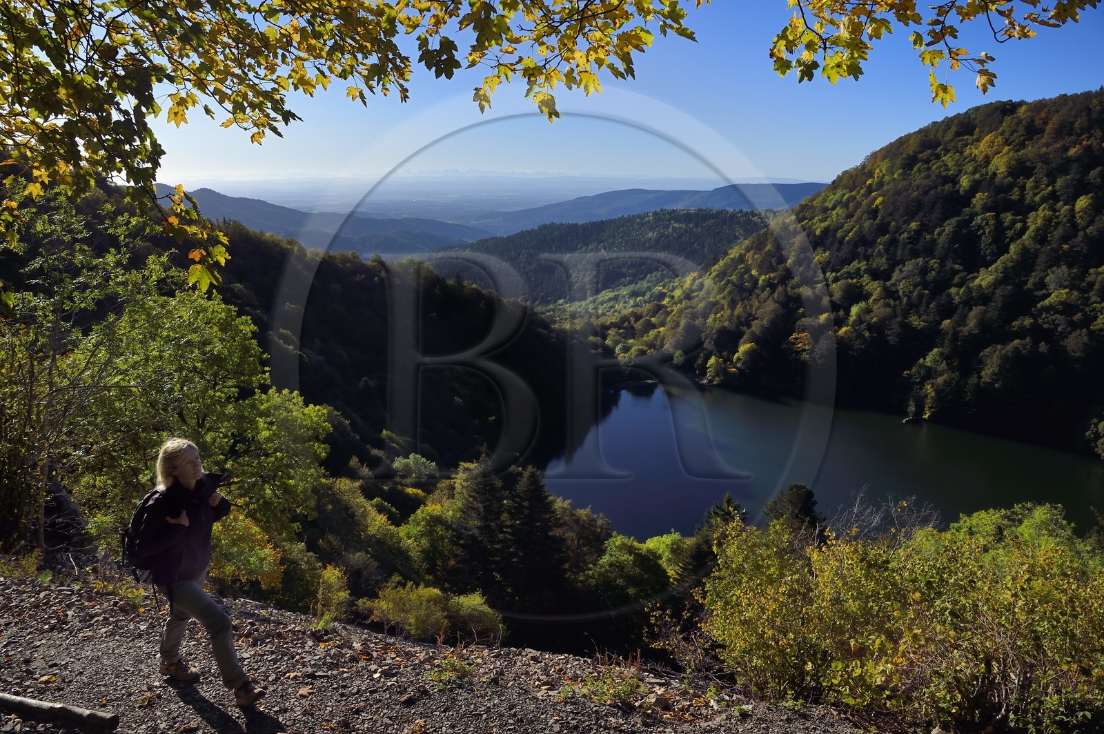 France, Haut-Rhin (68), Parc naturel régional des ballons des Vosges, Rimbach-près-Masevaux, randonneur marchant sur le GR5 au dessus du Lac des Perches, la plaine d'Alsace et les Alpes en arrière plan
